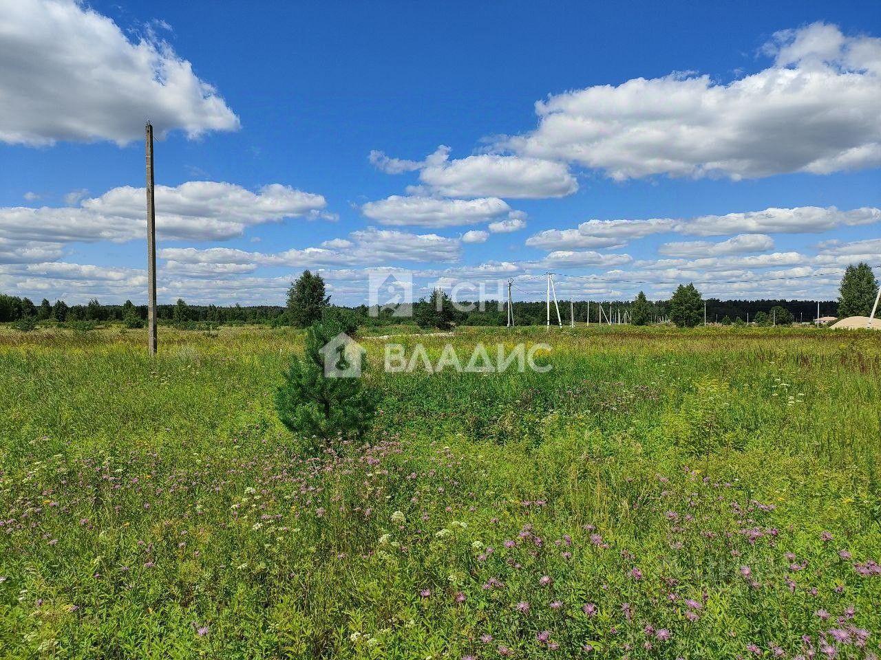 земля городской округ Богородский г Ногинск ул Ново-Богородская фото 4