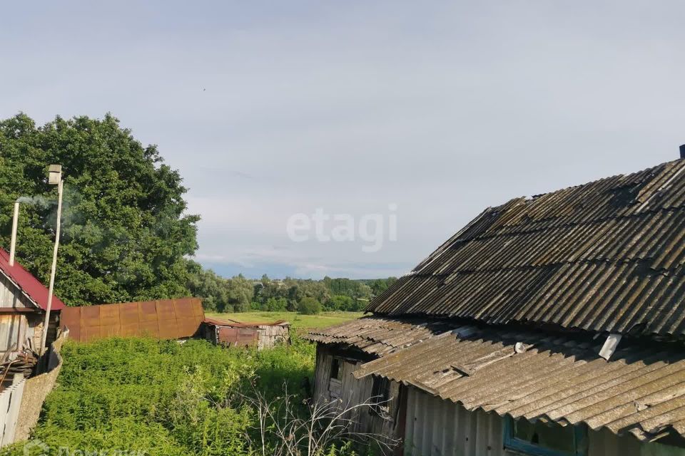 земля р-н Ишимбайский с Петровское ул Кооперативная 97 фото 6