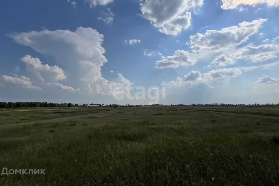 земля р-н Усть-Абаканский аал Сапогов ул Школьная фото 5