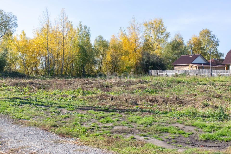 земля р-н Тобольский с Ворогушино ул Центральная фото 5