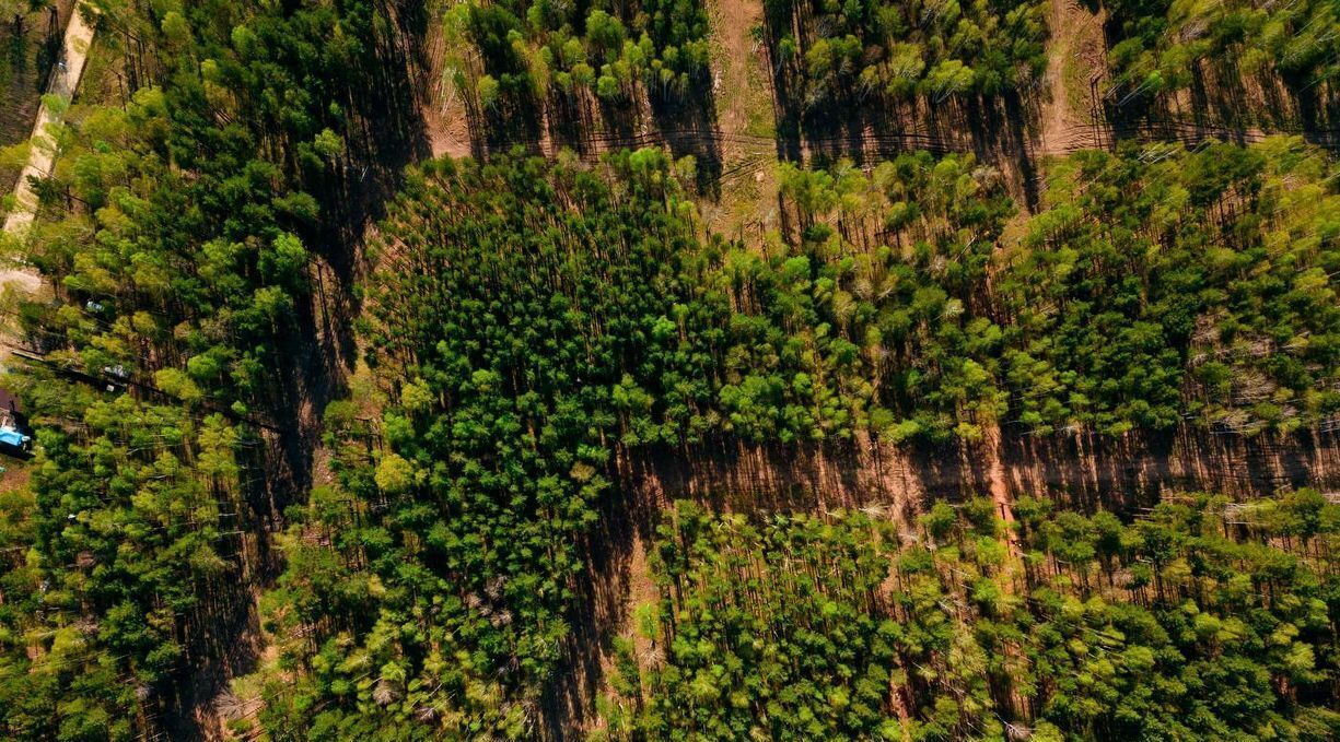 земля р-н Сысертский п Габиевский 6 фото 14