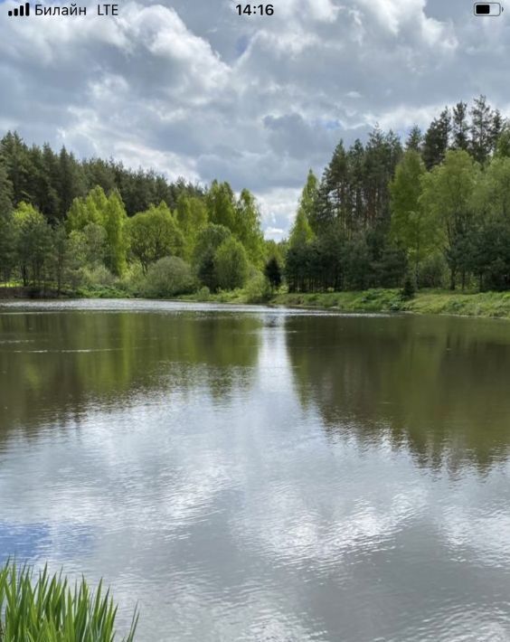 земля городской округ Щёлково д Огуднево ул Медноканительная фото 2