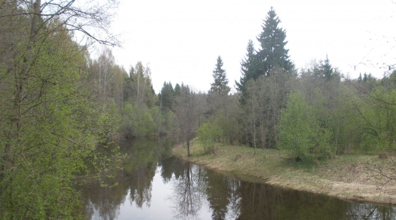 земля р-н Переславский д Лисавы Переславль-Залесский городской округ фото 7