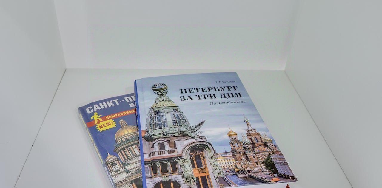 квартира г Санкт-Петербург метро Площадь Восстания Пески ул 5-я Советская 24/13 округ Смольнинское фото 29