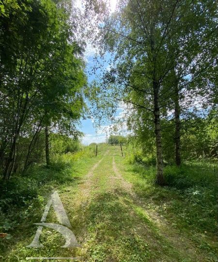 земля городской округ Клин д Крупенино снт Ясное Рогачево фото 15