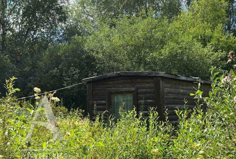 земля городской округ Клин д Крупенино снт Ясное Рогачево фото 13