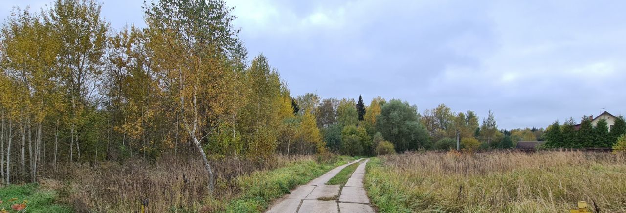 земля городской округ Наро-Фоминский д Афанасовка ул Цветочная фото 10