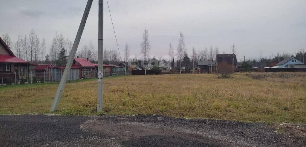 земля р-н Новгородский д Волынь Савинское сельское поселение фото 7