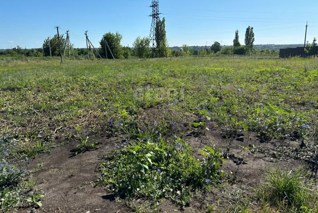 земля р-н Белгородский с Драгунское Пушкарское сельское поселение фото 1