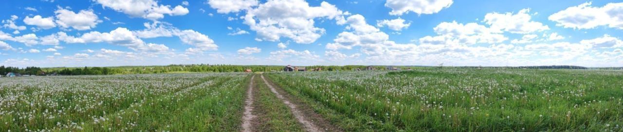 земля р-н Смоленский д Заборье Стабенское сельское поселение, Печерск фото 4