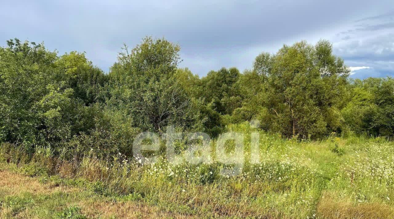 земля р-н Алексеевский с Ближнее Чесночное ул Подгорная фото 1