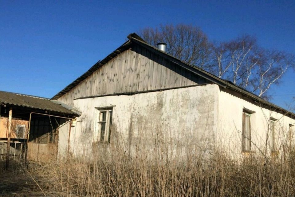 дом р-н Путятинский село Строевское фото 1