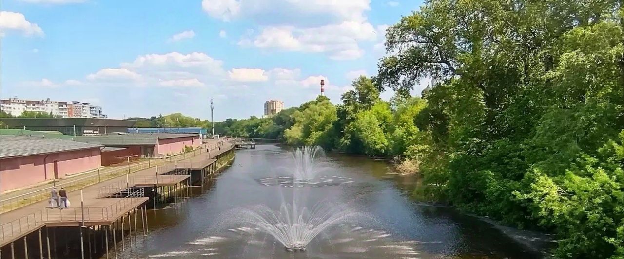 земля городской округ Богородский г Ногинск фото 2