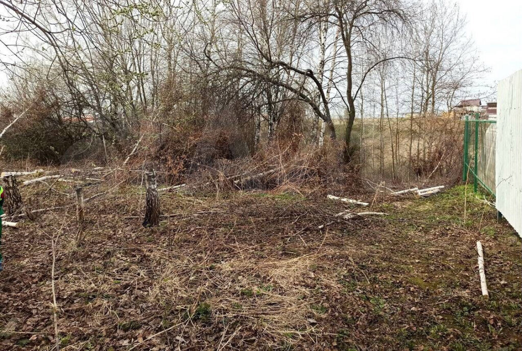 земля городской округ Раменский д Холуденево ул Тополиная фото 6