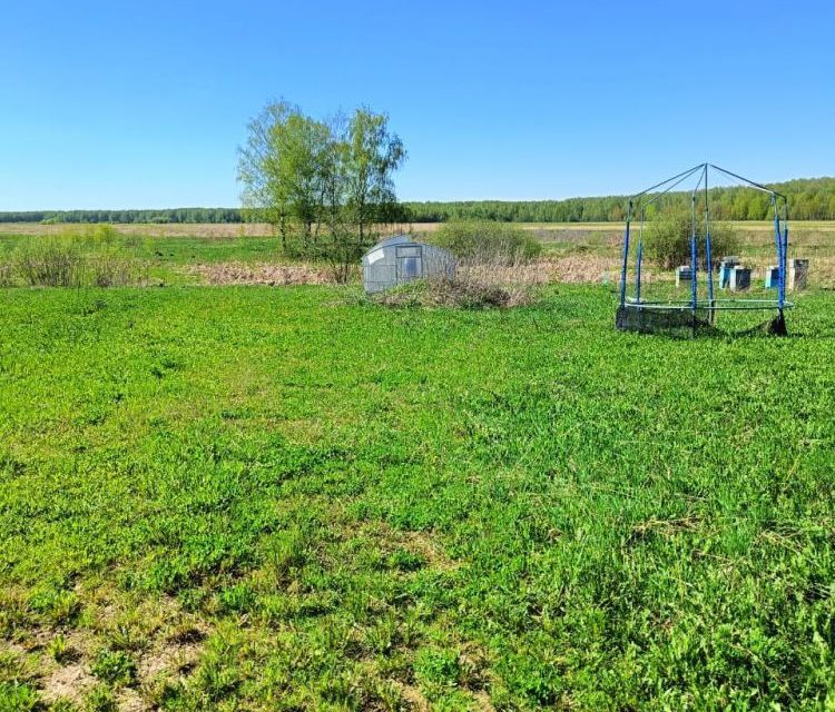 земля городской округ Домодедово деревня Максимиха фото 4