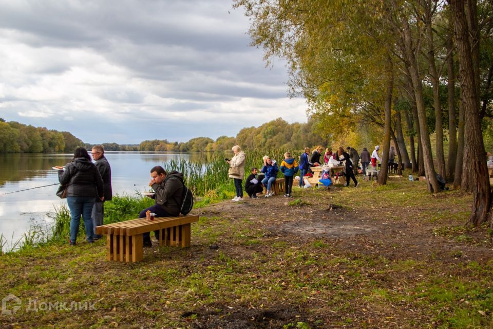 земля городской округ Раменский коттеджный посёлок Адмирал фото 4