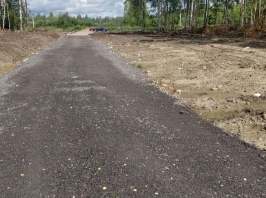 земля р-н Всеволожский г Всеволожск туп 1-й Поэтический фото 2