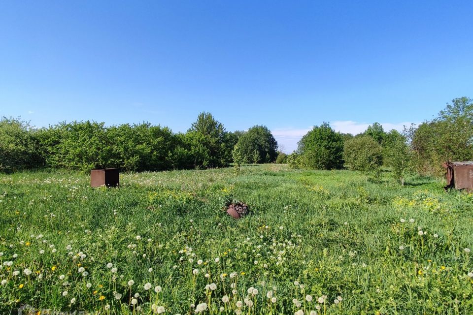 земля р-н Ломоносовский д Малое Забородье 26 фото 3