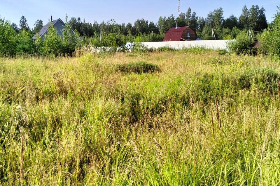 земля г Сосновый Бор ул Лесная Сосновоборский городской округ фото 7