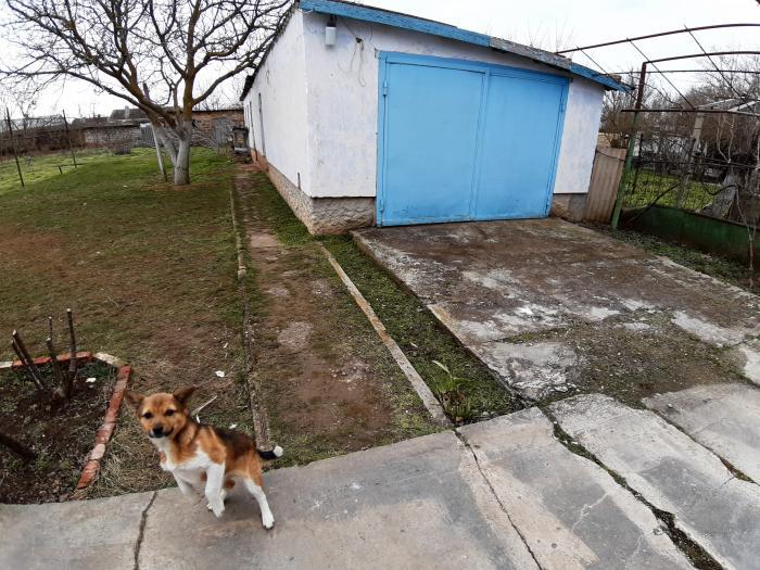 дом р-н Сакский с Вересаево ул Гагарина 10 фото 7