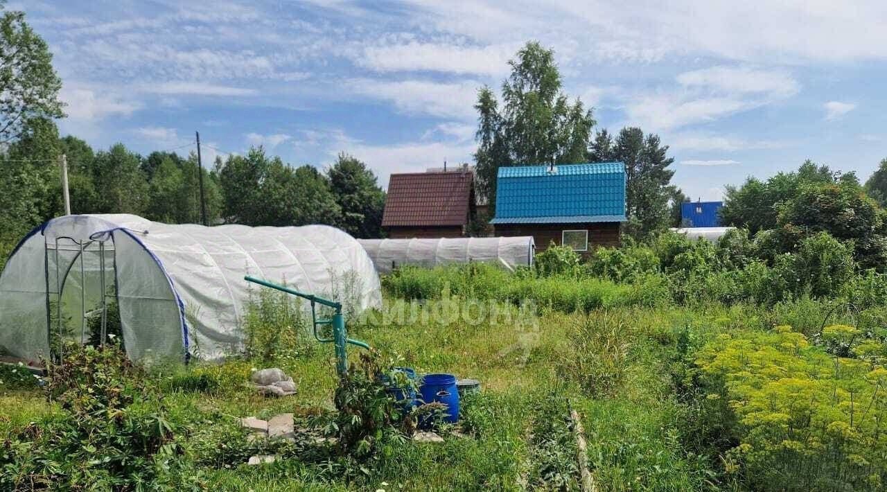 земля р-н Новокузнецкий п Кульчаны 001 кв-л, Черемушки СНТ фото 6