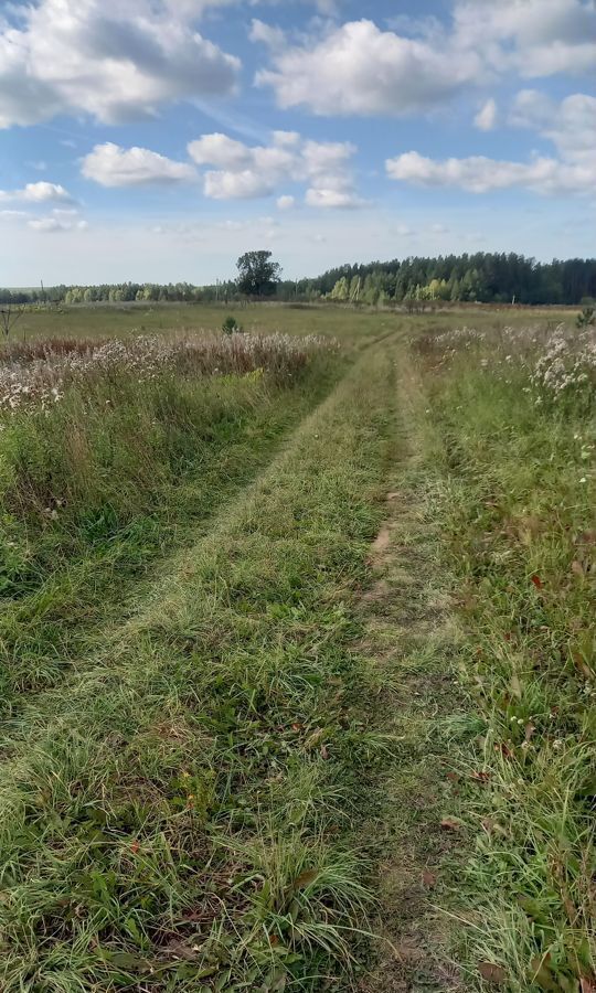 земля р-н Кирово-Чепецкий с Фатеево Фатеевское сельское поселение, Кирово-Чепецк фото 15