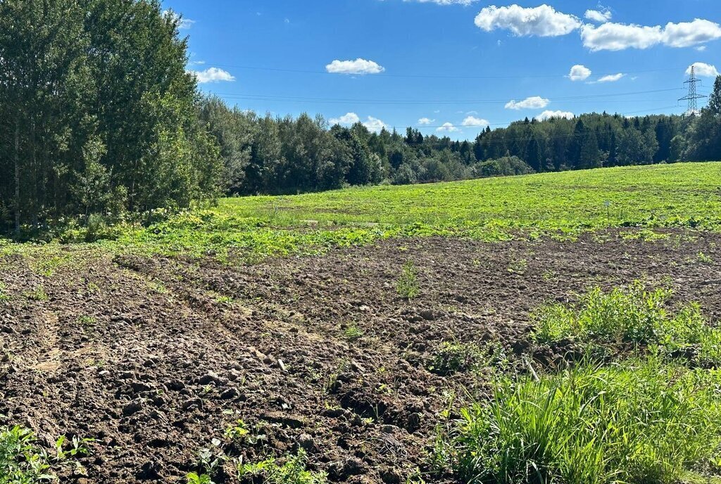 земля городской округ Дмитровский коттеджный поселок «Сорочаны» городской округ Клин фото 5