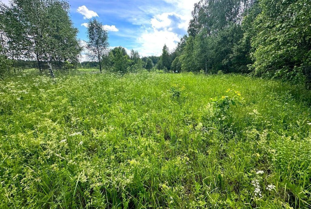 земля городской округ Истра д Сафонтьево фото 16