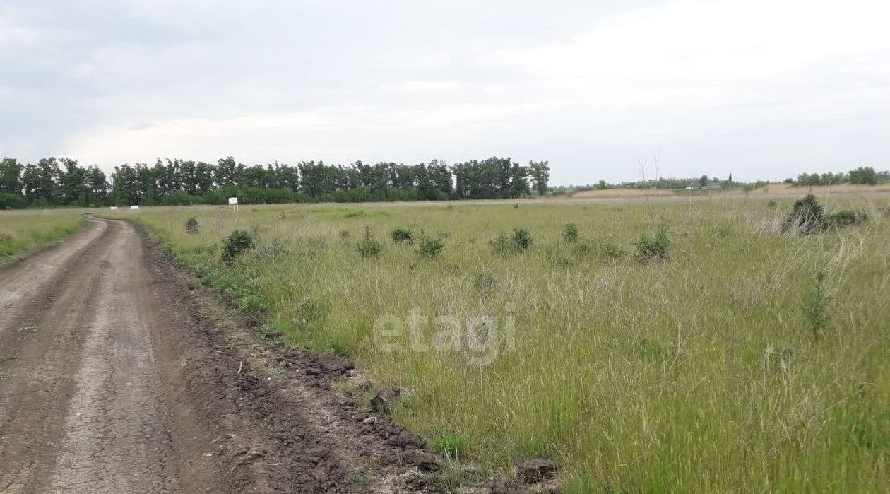 земля р-н Тахтамукайский аул Старобжегокай ул Совмена аул фото 6