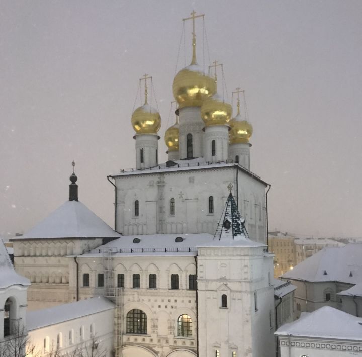 квартира г Санкт-Петербург метро Площадь Восстания проезд Полтавский 2 ЖК «Царская столица» округ Лиговка-Ямская фото 25