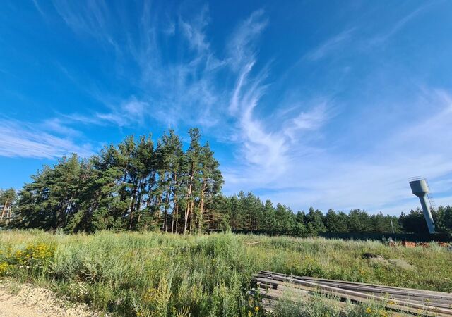 Айдаровское сельское поселение, КП Снегири, Рамонь фото