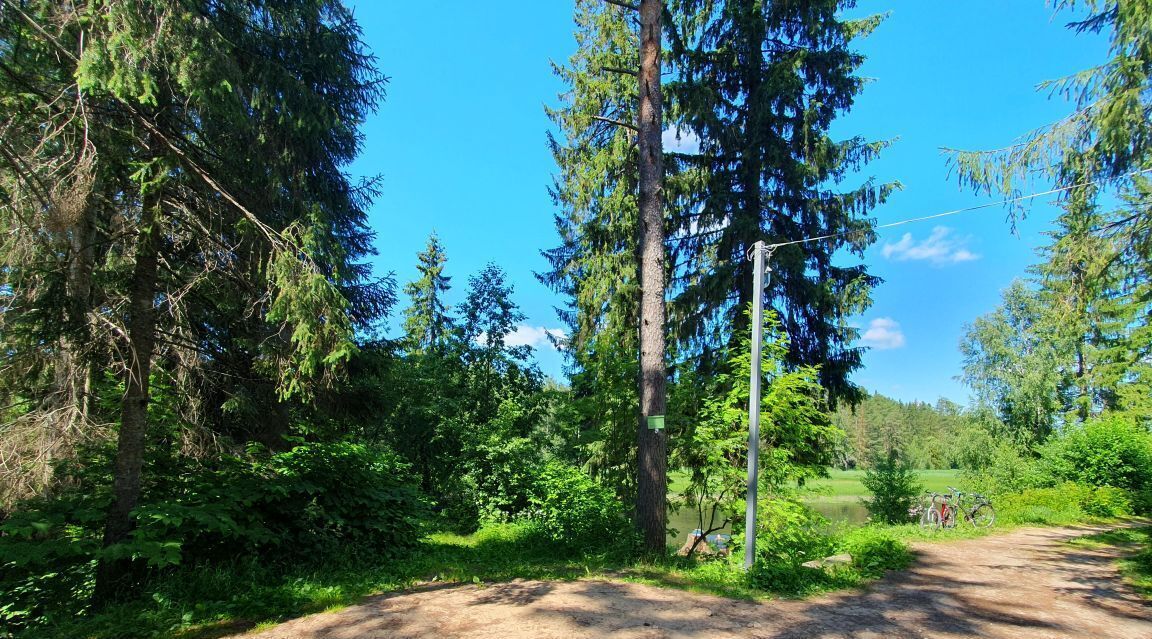 земля р-н Гатчинский Вырица городской поселок, ул. Мичурина фото 1