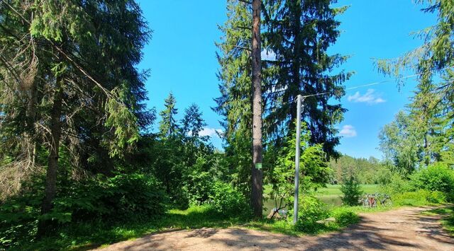 Вырица городской поселок, ул. Мичурина фото