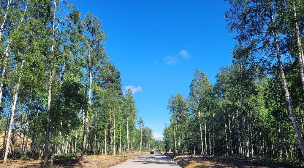 земля р-н Всеволожский снт Защита Токсовское городское поселение фото 8