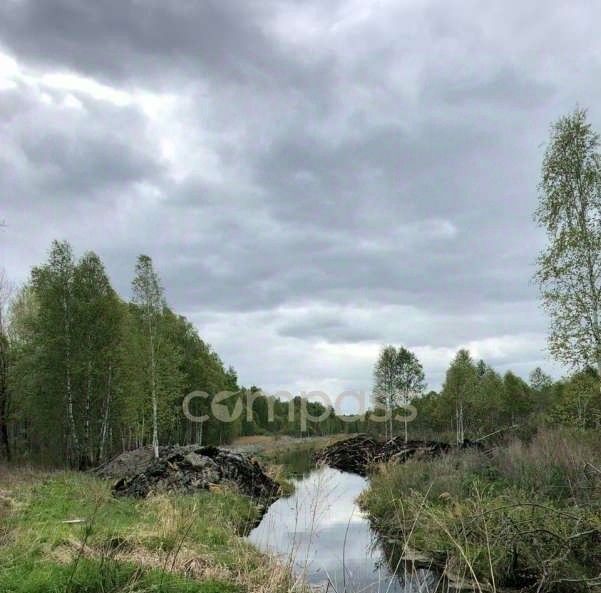 земля р-н Нижнетавдинский снт Сундукуль фото 12