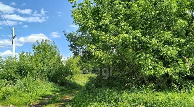 земля п Красный Бор р-н Заднепровский ул Дубровская фото