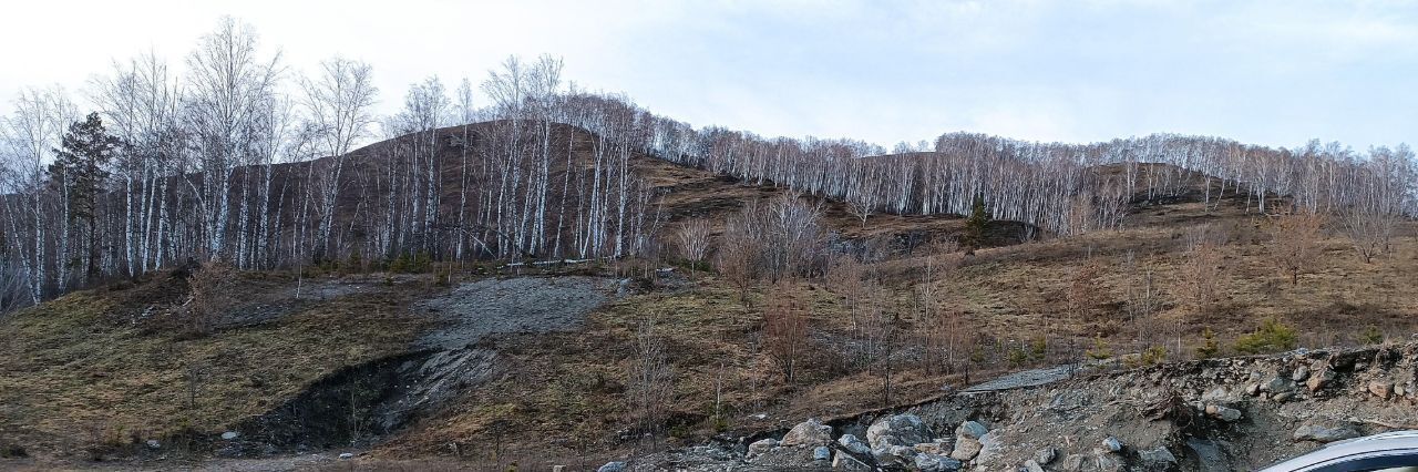 земля р-н Алтайский с Нижнекаянча ул Заводская 10 фото 5