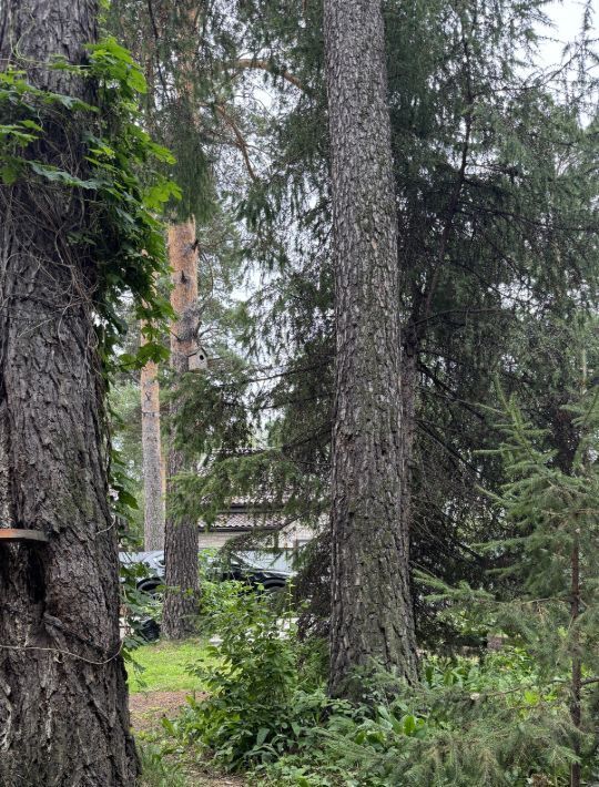 дом р-н Иркутский снт Политехник Ушаковское муниципальное образование, 180 фото 16