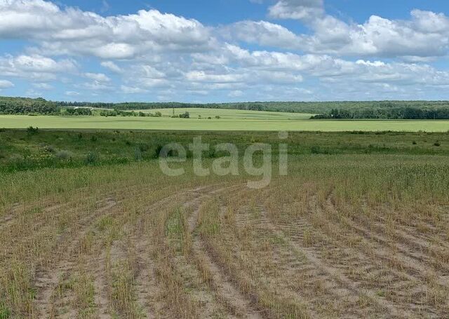 село Елец-Маланино фото