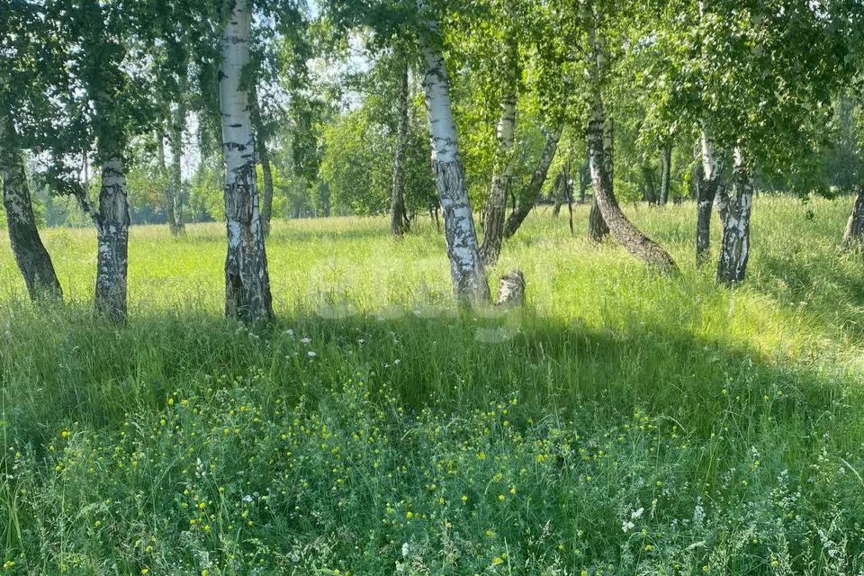 земля р-н Кемеровский фото 4