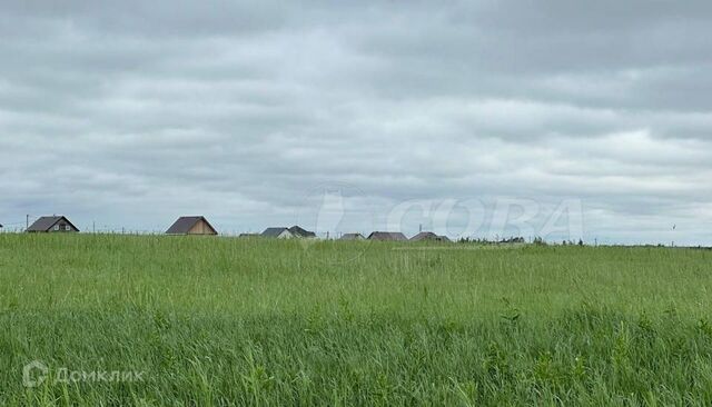 городской округ Тюмень, Ленинский округ фото