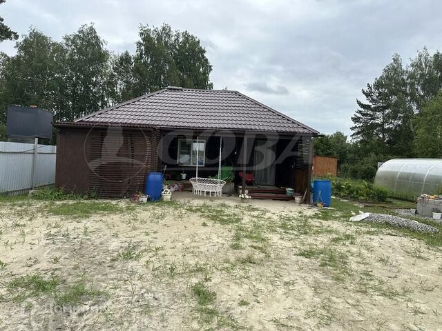 городской округ Тюмень, садовое товарищество Ясень фото