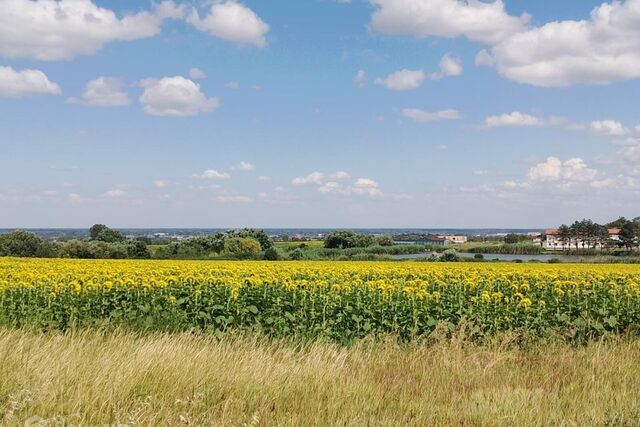 ул Дивизионная 4 Крымское городское поселение фото