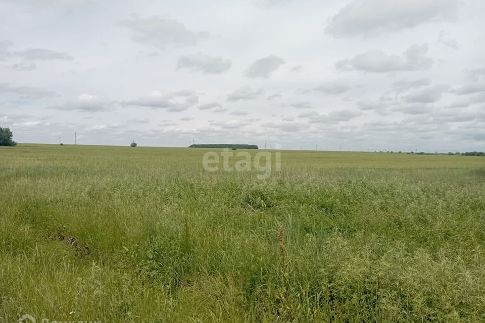 земля р-н Тамбовский село Раздольное фото 3