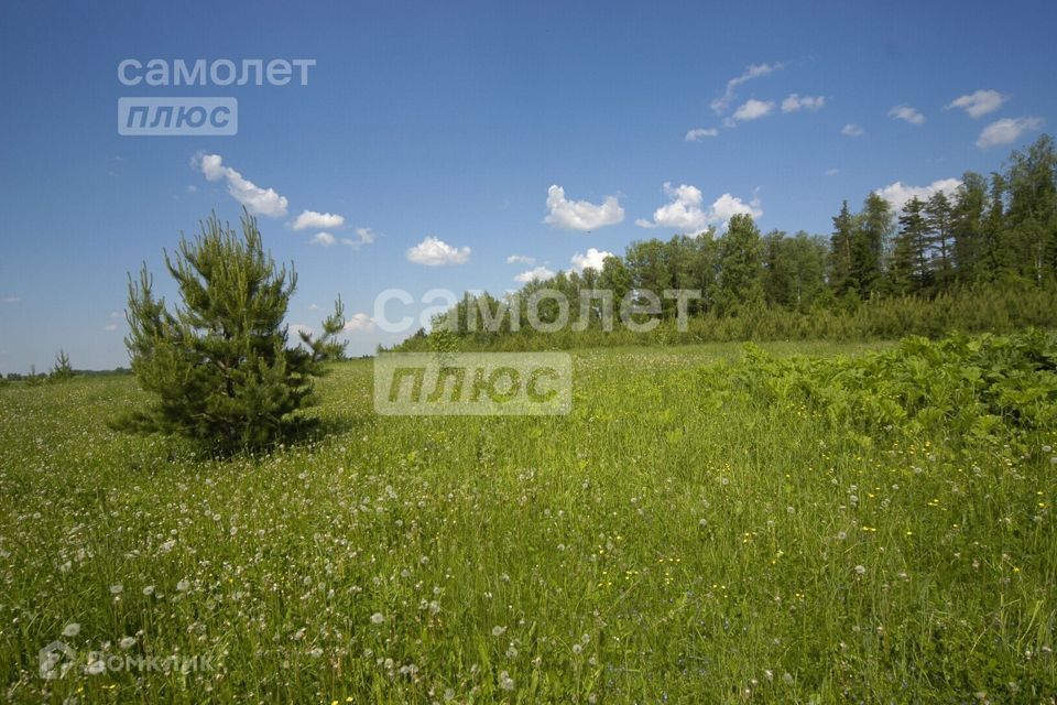 земля р-н Ивановский село Панеево фото 5