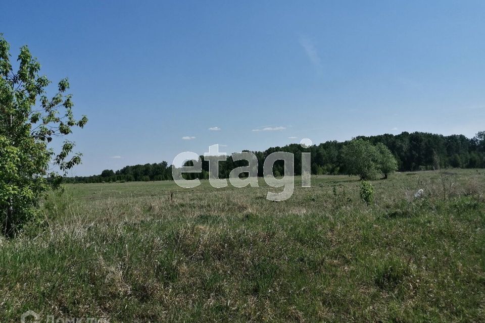 земля Озерский городской округ, СНТ Околица, Цветочная улица фото 8