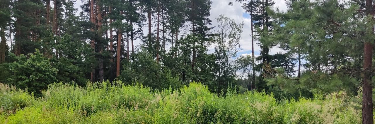 земля городской округ Щёлково д Мишнево ул Садовая фото 11