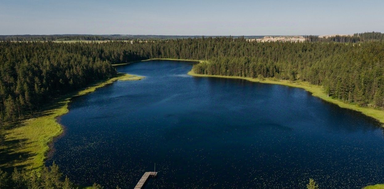 земля р-н Выборгский п Первомайское пос, Сабур-3 СНТ, 24 фото 41