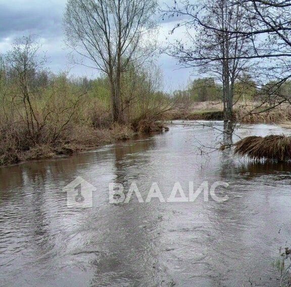 дом р-н Богородский д Еловицы фото 6