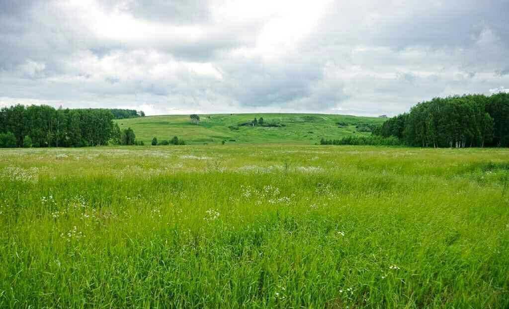 земля р-н Емельяновский Красноярск фото 1